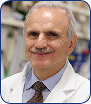 Dr. Yusuf Hannun, MD, Director, 
Stony Brook Cancer Center